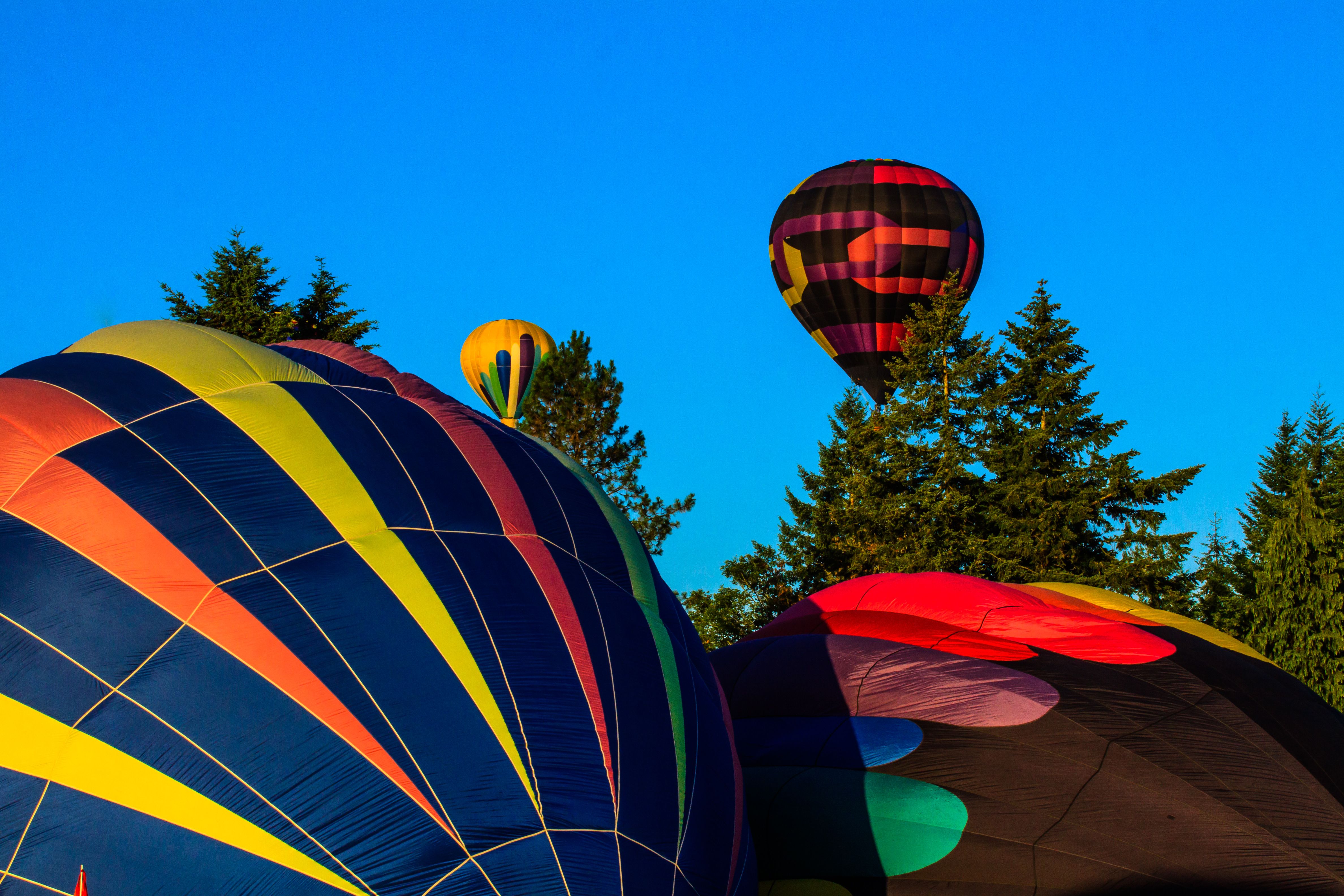 Tigard Balloon Festival